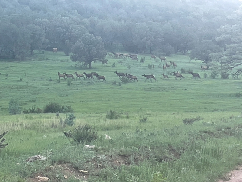 WAPITI RANCH